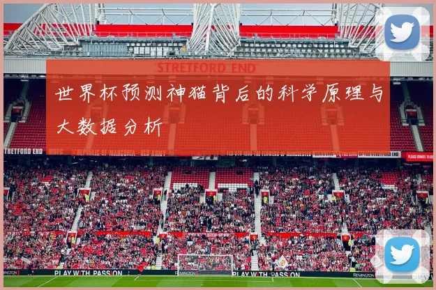 世界杯预测神猫背后的科学原理与大数据分析