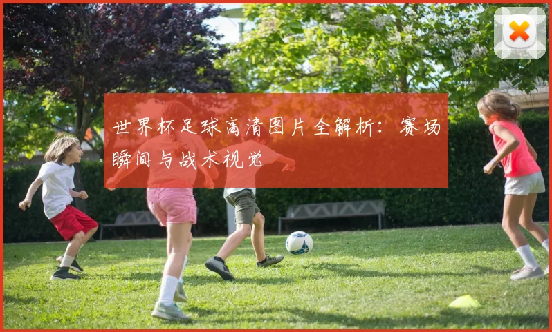 世界杯足球高清图片全解析：赛场瞬间与战术视觉