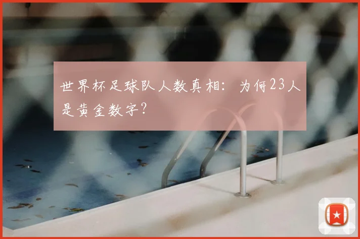 世界杯足球队人数真相：为何23人是黄金数字？