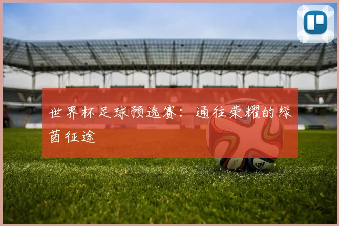 世界杯足球预选赛：通往荣耀的绿茵征途